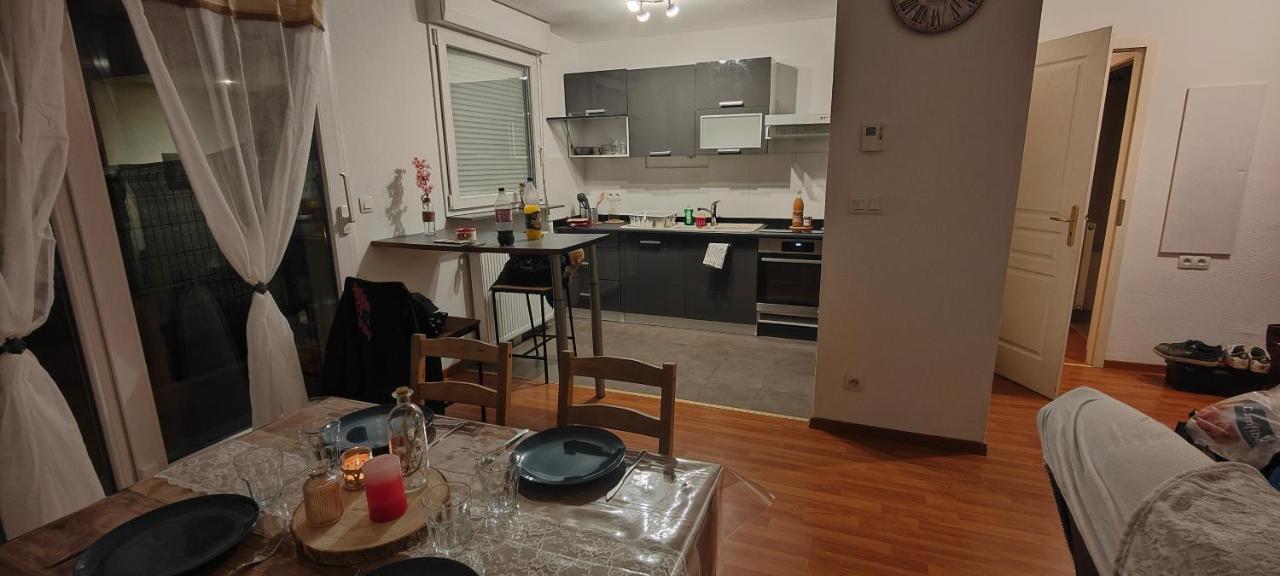 Appartement Rez-De-Chausse Dans Une Petite Ville Au Pied Du Massif Des Vosges Saverne Zewnętrze zdjęcie
